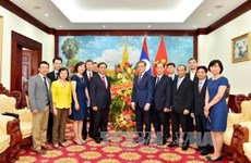 越南外交部与老挝驻越大使馆举行活动 庆祝越老友好团结年