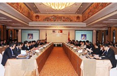 越泰政治安全合作联合工作组召开第九次会议