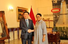 政府副总理王廷惠对印尼进行工作访问