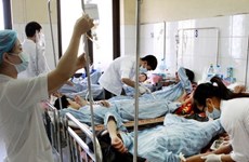 越南登革热感染病例仍在上升 河内市成立50个卫生应急队开展防控工作