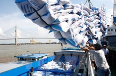 越南企业中标对菲律宾出售17.5万吨大米