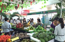 第五届越南国际农产品和食品展在胡志明市开展