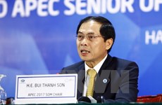 越南积极参加APEC工商咨询理事会第三次会议各项活动