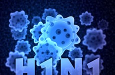缅甸甲型H1N1流感已致死10人