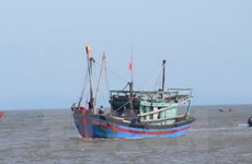 越南强烈反对对渔民使用武力或以武力威胁渔民的行为
