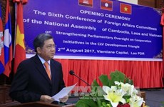柬老越三国国会对外委员会致力加强合作