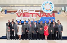  2017年APEC第三次高官会及相关会议将在胡志明市举行