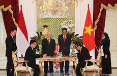 越南与印尼签署多项合作文件