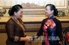 胡志明市与老挝万象加强人民议会的合作