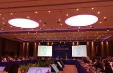 APEC第七次卫生与经济高级别会议：致力实现全民健康覆盖及可持续发展目标