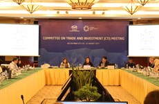 APEC贸易投资委员会会议：越南提出关于促进跨境电子商务便利化倡议  