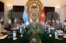  越南UNESCO国家委员会主任同UNESCO总干事进行会谈