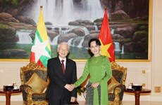 越共中央对外部部长：阮富仲总书记访问印缅 为双边关系注入新动力