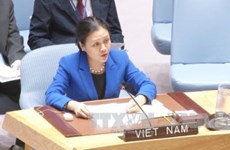 越南将继续积极参加联合国维和行动