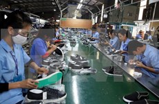 2017年前8月越南同奈省实现贸易顺差14亿美元