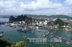 广宁省将云屯特别经济行政区建设成绿色海洋岛屿城市