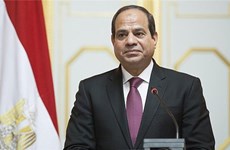 埃及媒体：埃及总统访越为越埃关系开辟新篇章