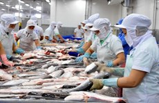 出口美国的越南查鱼将在各个环节受到监管