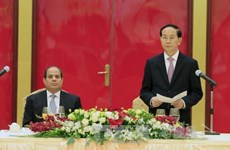 越南国家主席陈大光设宴招待埃及总统