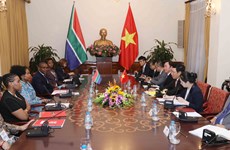 范平明与南非外交部长举行会谈