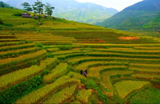  越南旅游业努力加强国内外旅游目的地的对接