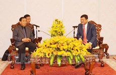 胡志明市与柬埔寨加强监察领域的合作