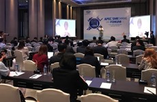 2017年APEC会议：提高中小企业市场准入门槛的良机