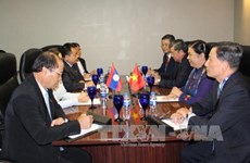 越南国会副主席丛氏放在第38届东盟议会联盟大会期间同各国国会领导举行会晤