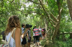 泰山岛居民开展生态旅游