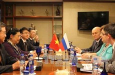越南国会副主席丛氏放会见俄罗斯国家杜马副主席奥莉加叶皮凡诺娃