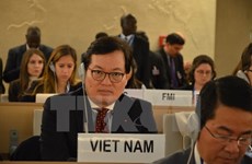 越南为世界和地区促进和保护人权做出贡献