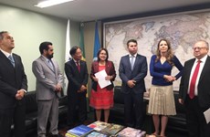 巴西—越南友好议员小组正式亮相