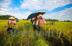 越南加大对农业招商引资力度