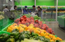 今年前9月越南蔬菜水果出口额约达26.4亿美元