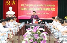 越南国会主席阮氏金银：应不断提高公开透明度  实现国家审计现代化