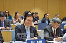越南代表杨志勇当选世界知识产权组织总干事有助于提升国际地位