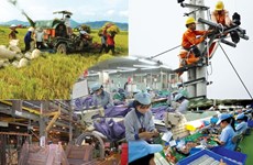 越南政府颁发关于完善社会主义市场经济体制决议的行动计划