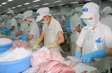 越南虾鱼类对美出口额有所下降