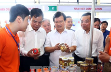 政府副总理郑廷勇参观2017年越南查鱼和水产品展