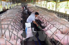 越南Olmix Asialand有限公司饲料添加剂生产厂投入运营