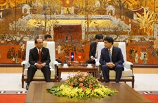 推动河内市与老挝琅勃拉邦省关系深入务实发展