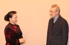 越南国会主席阮氏金银会见伊朗伊斯兰议会议长拉里贾尼