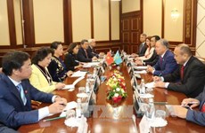 越南国会主席阮氏金银与哈萨克斯坦议会下院议长尼格马图林举行会谈