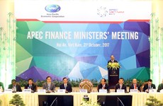 2017年APEC会议：防止税基侵蚀与利润转移需要一个整体解决措施