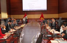 秘鲁与越南政府间经济与技术合作委员会第一次会议在秘鲁举行
