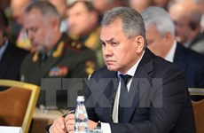 俄罗斯宣布愿意协助东盟反恐