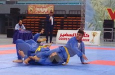 阿尔及利亚2017年第三届“大使杯”越武道锦标赛落幕