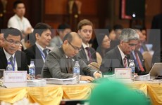  2017年APEC高官总结会议在岘港市开幕