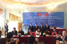 中国商务部对外贸易司副司长支陆逊：越中经贸合作潜力与空间将不断拓展