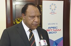 2017年APEC会议：巴布亚新几内亚希望学习借鉴越南举办APEC会议的经验